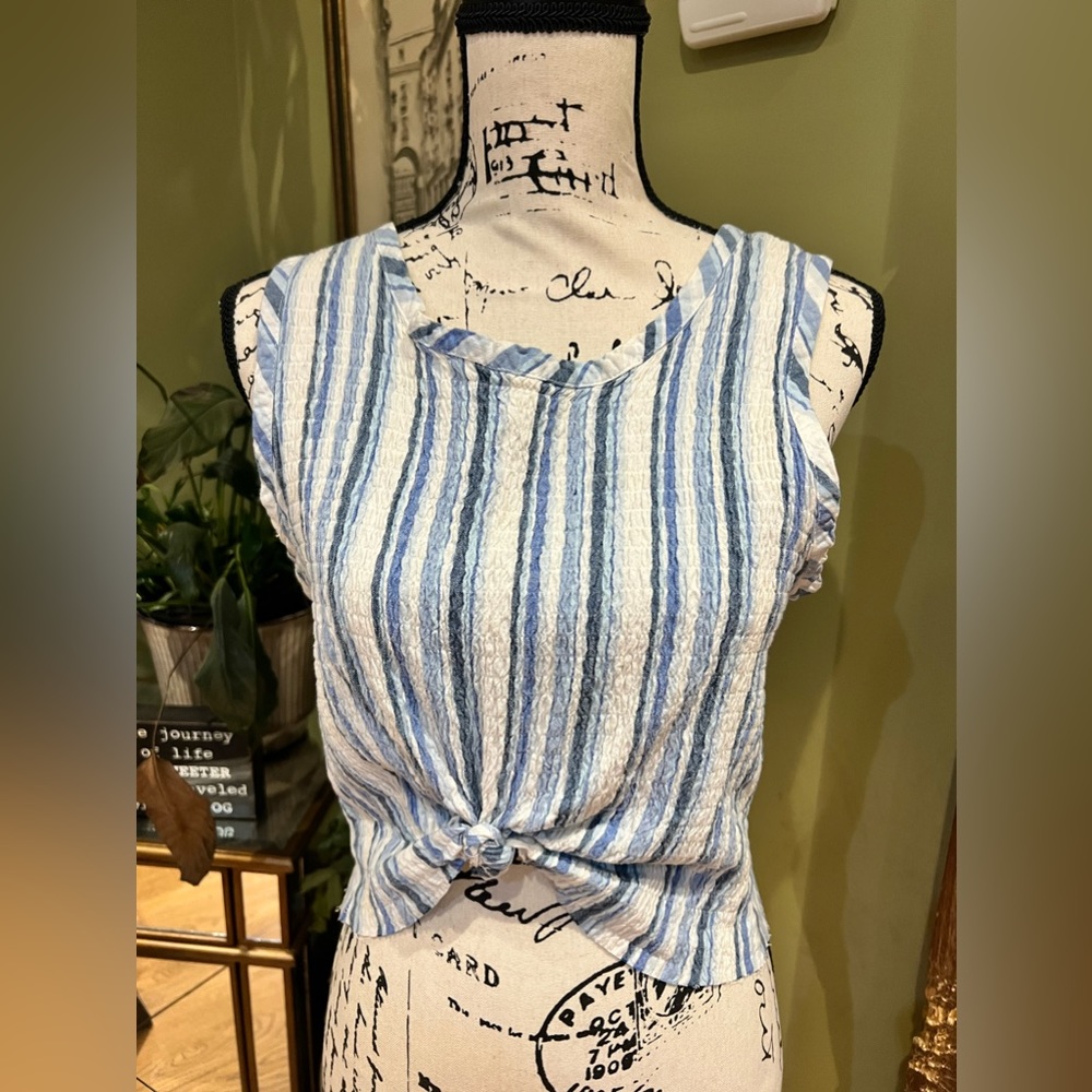Lemon Grass blue striped top